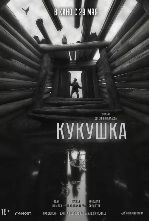 Иван Шамаев, Николай