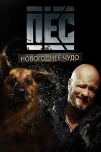 Никита Панфилов, Андрей Саминин, Михаил